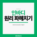 인바디 원리 썸네일