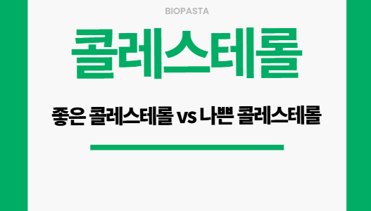 콜레스테롤 관리 모든 것: 좋은 콜레스테롤 vs 나쁜 콜레스테롤 콜레스테롤 관리