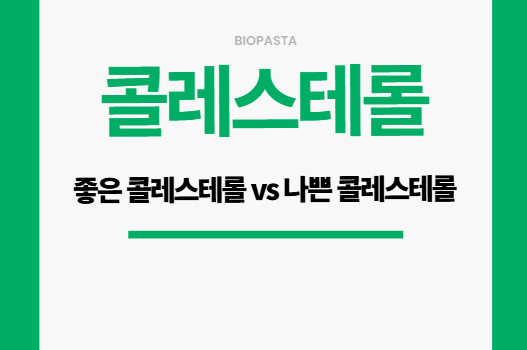콜레스테롤 관리 모든 것: 좋은 콜레스테롤 vs 나쁜 콜레스테롤 콜레스테롤 관리