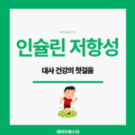 인슐린 저항성. 대사 건강의 첫 걸음