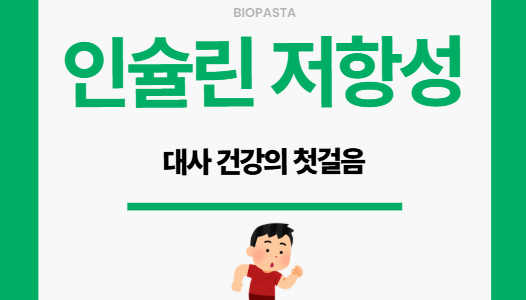 인슐린 저항성. 대사 건강의 첫 걸음
