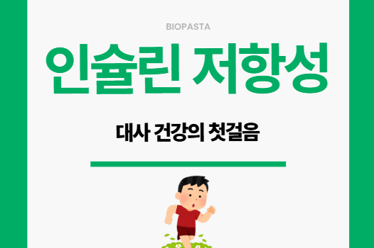 인슐린 저항성? 쉽게 풀어보는 대사 건강의 첫걸음 인슐린 저항성. 대사 건강의 첫 걸음