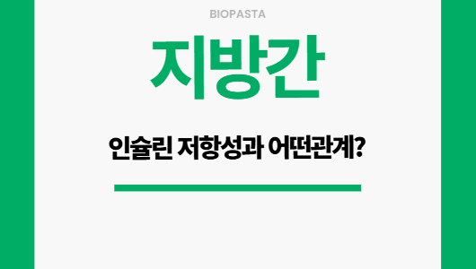 지방간 인슐린 저항성과 어떤 관계?