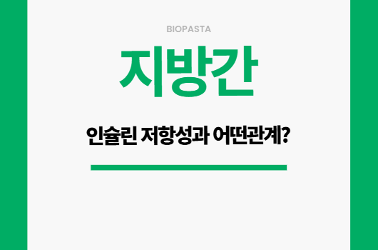 지방간, 인슐린 저항성의 관계 — 대사증후군의 시작 지방간 인슐린 저항성과 어떤 관계?