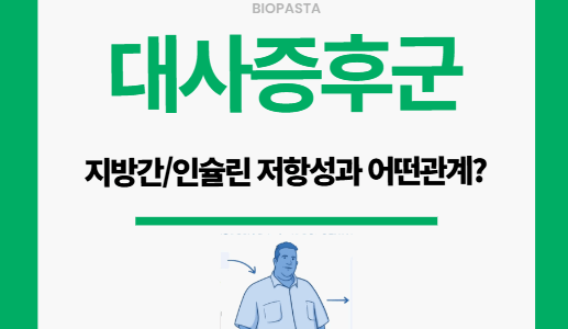 지방간과 인슐린 저항성의 관계 — 대사증후군 시작 대사증후군
