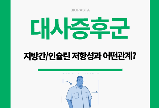 지방간과 인슐린 저항성의 관계 — 대사증후군 시작 대사증후군