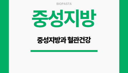 중성지방 그리고 혈관건강