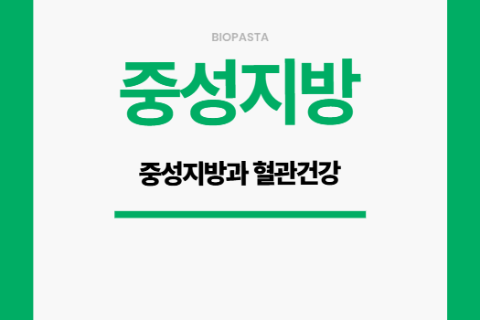 중성지방 그리고 혈관건강