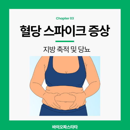 혈당스파이크 증상 : 지방축적 및 당뇨