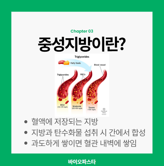 중성지방 이란?