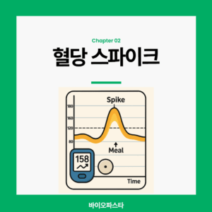 혈당 스파이크란?