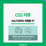 CO2 저류, 산소가 적어도 위험하다?