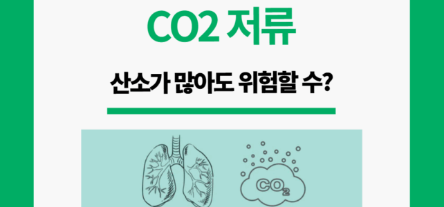 CO2 저류, 산소가 적어도 위험하다?