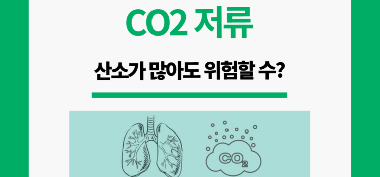 CO2 저류, 산소가 적어도 위험하다?