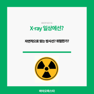 방사선 일상. 에서 얼마나 받을까