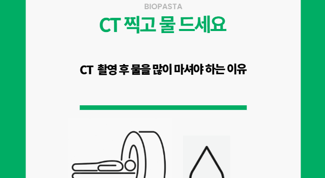 CT 물 많이 드세요