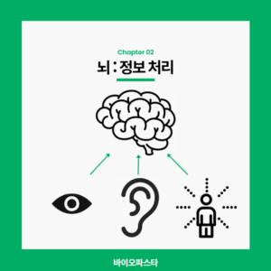 어지럼증 원인 1. 뇌