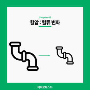 어지럼증 원인 3. 혈류 : 혈류의 변화