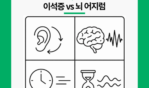 이석증, 뇌 어지럼. 증상 비교
