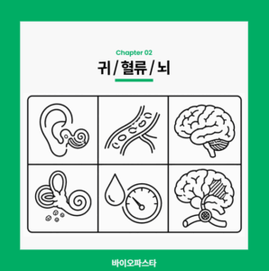어지럼증 원인. 귀, 뇌, 혈류