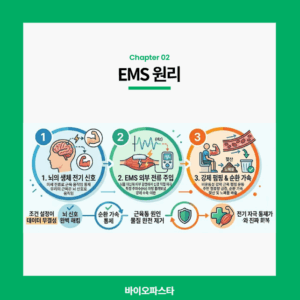 저주파 마사지기 효과. 그리고 원리
