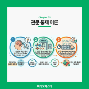 저주파 마사지기 관문 통제 이론