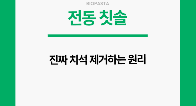 전동 칫솔 원리.