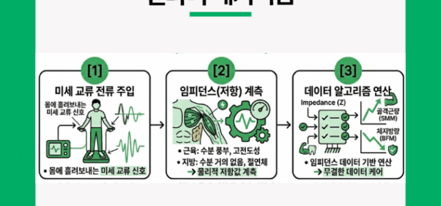 인바디 원리. 인바디 메커니즘