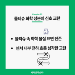 혈당측정기 물티슈 화학 성분의 교란