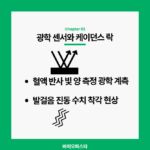 스마트워치 심박수 정확도 원리