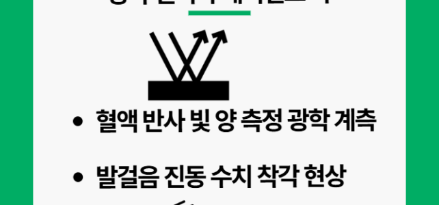 스마트워치 심박수 정확도 원리