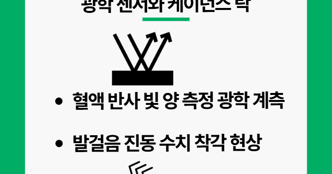 스마트워치 심박수 정확도 원리