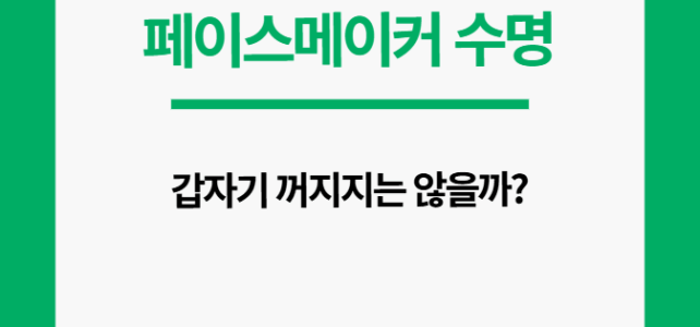 심장 박동기(페이스메이커) 배터리 수명, 다 되면 갑자기 멈출까? 페이스메이커 수명, 다 되면 어떻게 될까?