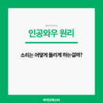 인공와우 원리. 어떻게 소리를 듣나?