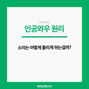 인공와우 원리. 어떻게 소리를 듣나?
