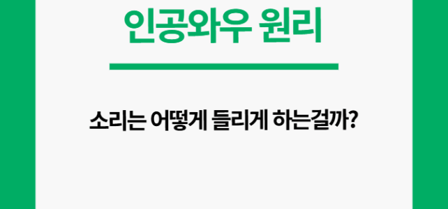 인공와우 원리. 어떻게 소리를 듣나?