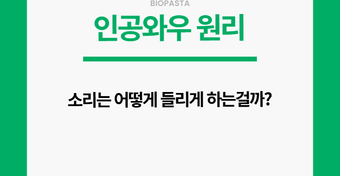 인공와우 원리. 어떻게 소리를 듣나?