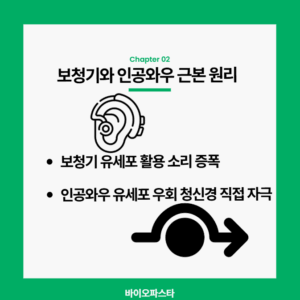 보청기와 인공와우 원리 차이