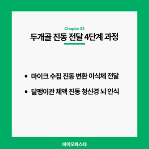 두개골 진동 전달 과정